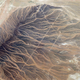 Illustration for article titled The Fingerprints of Water on Sand Are Like a Living Organism